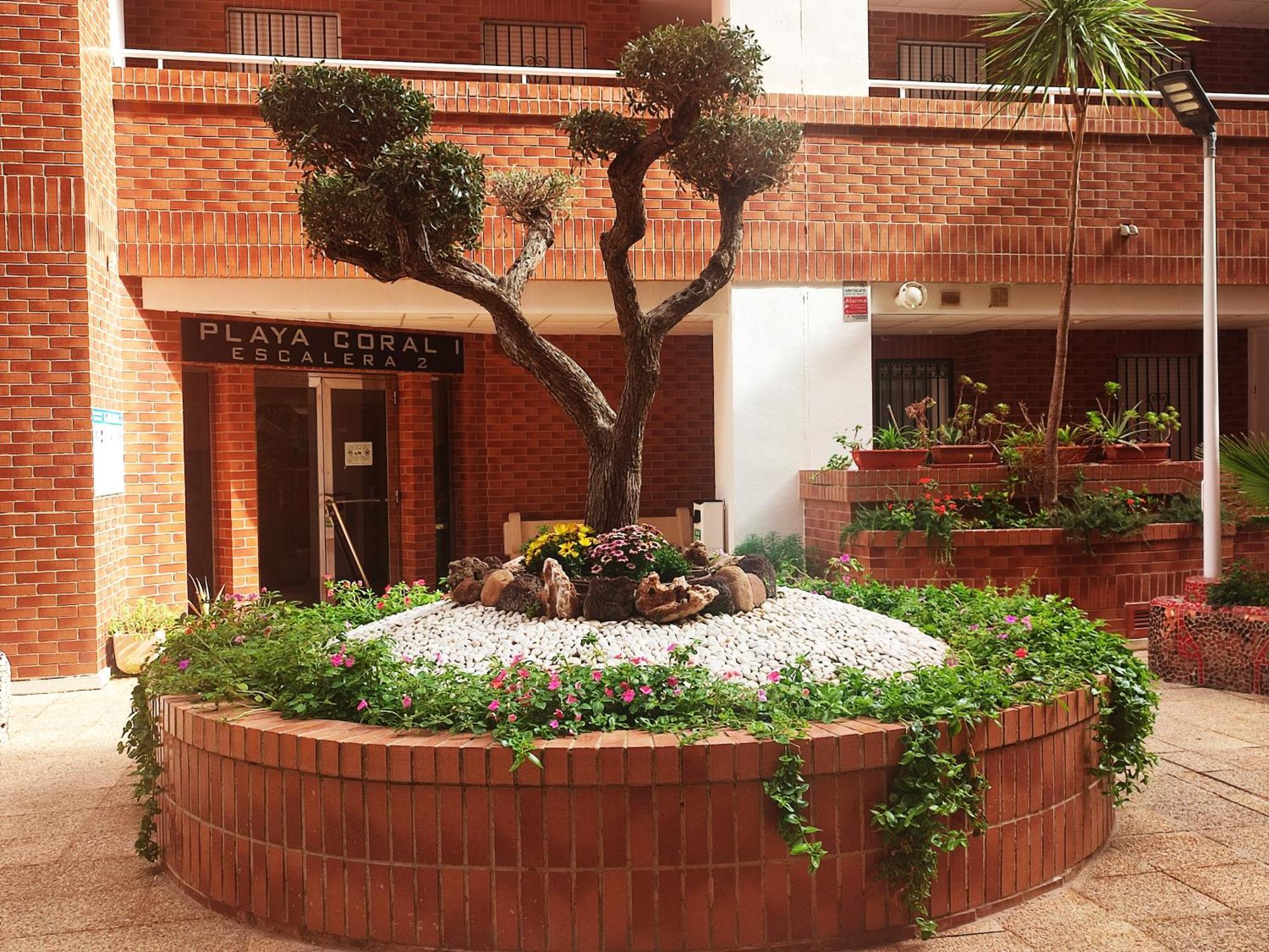 Apcostas Playa Coral - Costa Marfil Oropesa del Mar Exterior foto